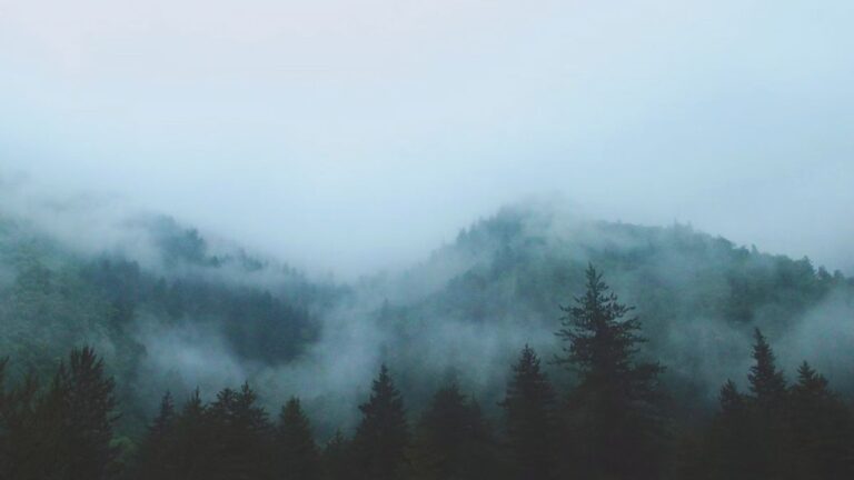 10 Eerie Encounters to Make You Reconsider Entering the Woods Alone