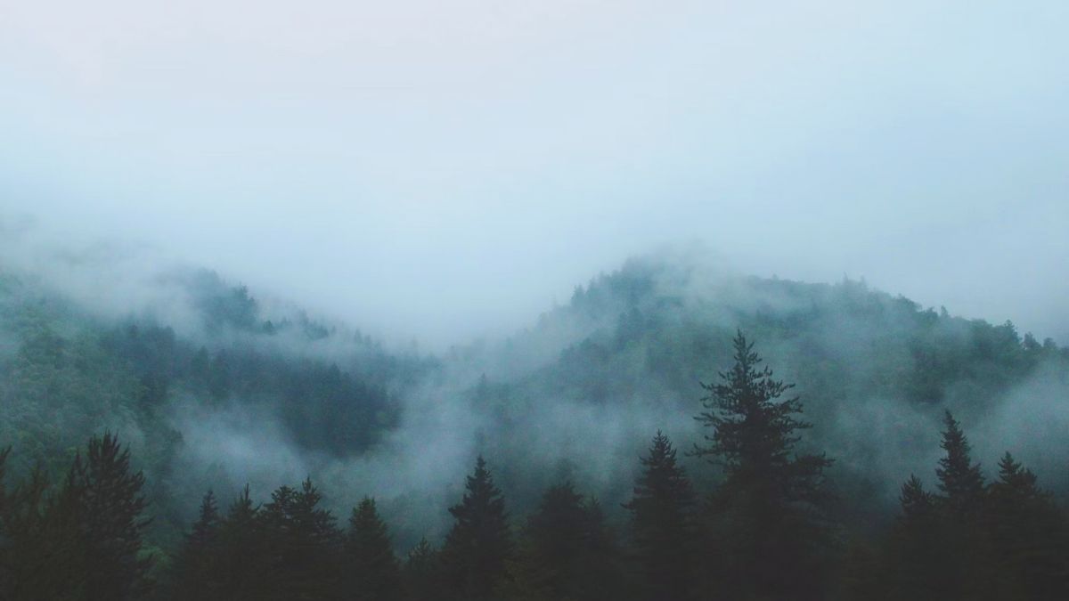 10 Eerie Encounters to Make You Reconsider Entering the Woods Alone