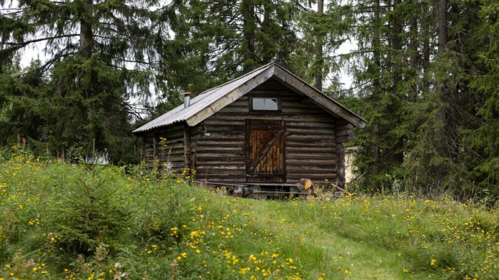 Cabin in the Woods